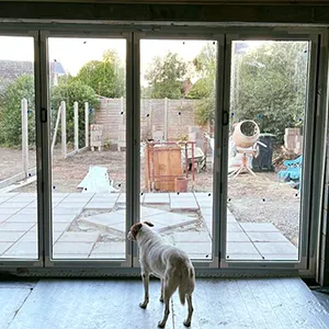 a dog standing in front of a sliding glass door